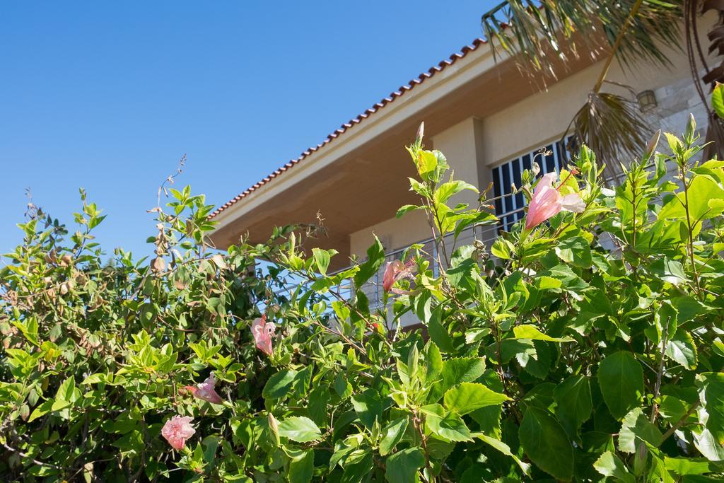Sunset Beach House Kato Alepochori Extérieur photo